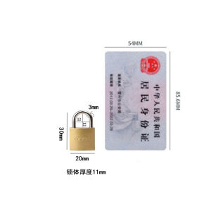 Lock head Pujiang padlock iron padlock lock head imitation copper padlock home student dormitory lock