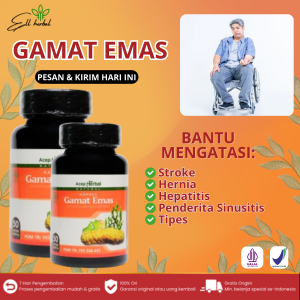 Obat Stroke Hernia Hepatitis Penderita Sinusitis Tipes Termurah ORIGINAL