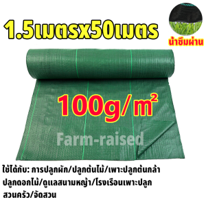 พลาสติกคลุมดิน พลาสติกคลุมแปลง ผ้าคลุมวัชพืช พลาสติกคลุมวัชพืช ทนทาน ซึมผ่านได้ ป้องกันวัชพืช 1x10 2x10 3x10 1x50 2x50 1x100 2x100 คลุมแปลงเกษตร คลุมวัชพืช ผ้าควบคุมวัชพืช ผ้ากำจัดวัชพืช พลาสติกคลุมหญ้า พลาสติกกำจัดวัชพืช ผ้าคลุมดิน