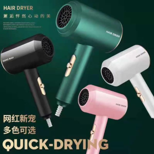 Hair Dryer Anion Care Blue-Ray Light Hair Blower Strong Power Quick Drying Low Noise Blow Dryer MP-KEIMAV
