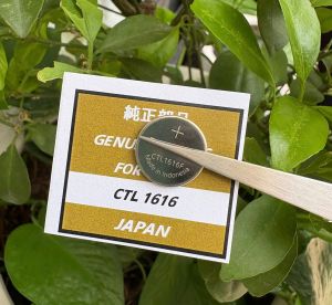 Viên pin năng lượng đồng hồ CTL1616F CTL1616 1616 CTL 1616