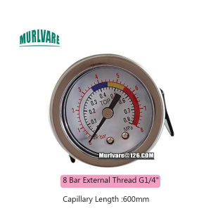 4Bar 6Bar 8Bar 16Bar 20Bar Y40 G1/4" G1/8" Internal External Thread Coffee Maker Gauge Steam Boiler Iron Case Capillary Gauge