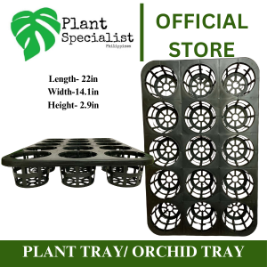 Plant Tray 15 holes/Orchid Tray/Heavy Duty Plant Tray/Php300.00