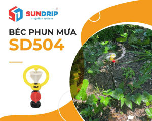 100 CÁI BÉC PHUN MƯA SD504 LIỀN VAN CHÂN REN 17 SD504 HÀNG SUNDRIP