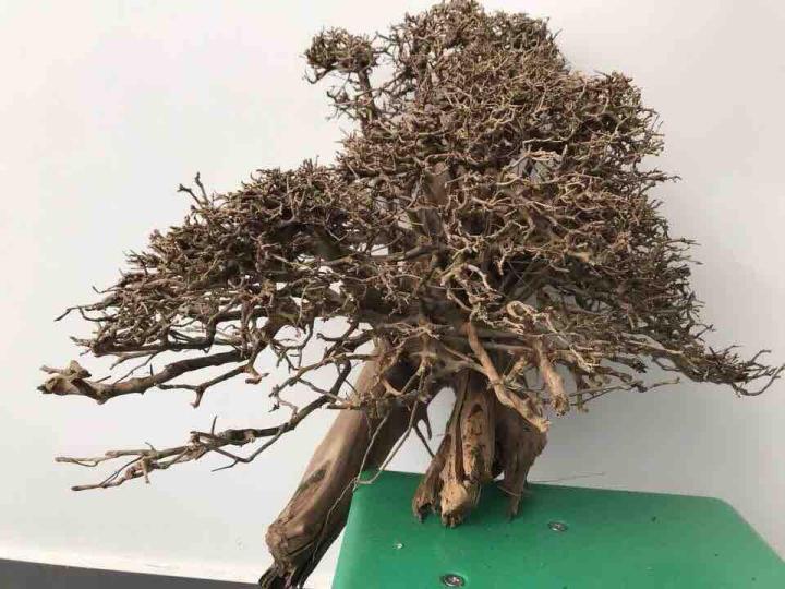 L%C5%A9a%20X%C6%B0%C6%A1ng%20Ch%C3%B9m%2030k/100g%20-%20Image%207