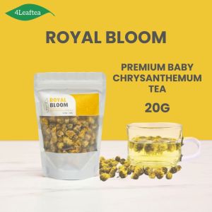 4Leaftea Royal Bloom Baby Chrysanthemum Tea Premium Dried Chrysanthemum Flower Tea Caffeine-Free & Cooling Herbal Tea