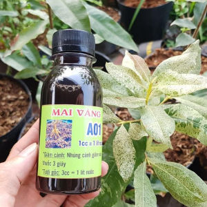 kích rễ cây cảnh A01 NPX dành cho nhà vườn dâm ủ chiết cành 100ml
