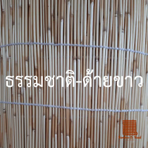 ขายเป็นผืน กว้าง 100 ม่านจากต้นกก ม่านกก มู่ลี่ไม้ มู่ลี่จากต้ออ้อเล็ก ม่านปรับแสง ม่านไม้ไผ่ ใช้สำหรับตกแต่งห้อง ตกแต่งผนัง