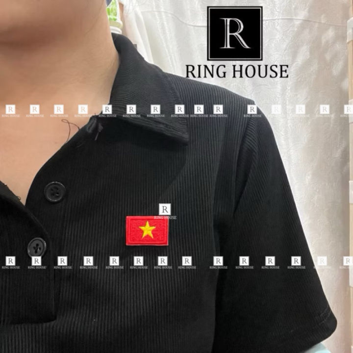 Ghim cài áo cặp lá cờ Việt Nam cờ Đảng | Lazada.vn