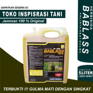 Bablas 490 SL Herbisida Sistemik 5 Liter/Obat Rumput/Obat Pembasmi Gulma Tanaman 5 LiterBisa/COD!!! Herbisida Bablas Kemasan 5 liter/Obat Rumput Bablas 5 liter/Obat Pertanian Sawit/Sawit