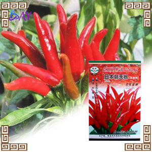 Benih Cabai Rawit Tumpuk Jepang -1500 butir original Aura Seed