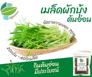 เมล็ด ต้นอ่อน ไมโครกรีน (Microgreen) ต้นอ่อนทานตะวัน  อัลฟาฟ่า  งาดำ  โตเหมี่ยว  ไควาเระ  กะหล่ำปลีแดง  บลอคโคลี Microgreen ปลูกกินต้นอ่อน