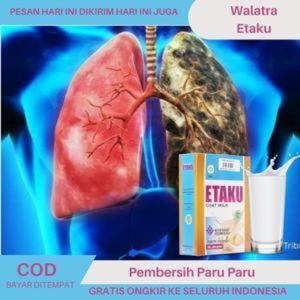 Walatra Etaku Susu Pembersih Paru-Paru untuk Perokok Berat Pasien Asma Batuk dan TBC