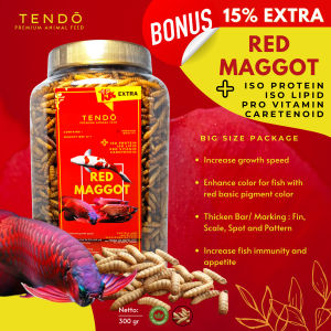 Maggot Magot Kering Pakan Makanan Ikan Koi Arwana Chana Channa Tendo