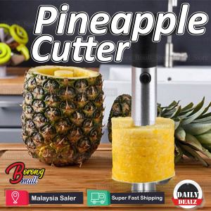 Fruit Pineapple Slicer Peeler Cutter Kitchen Tool Spiral Steel