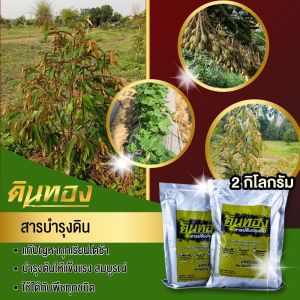 อาหารเสริมพืช สารปรับปรุงดิน ตรา ดินทอง เร่งแตกยอดอ่อน เร่งความสมบูรณ์ของลำต้นและใบ (บรรจุขนาด 1 กิโลกรัม)