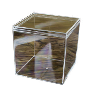 Salime Square High Transparent Plastic Box Betta Breeding Box Mini Candy Slime Mud Packaging Box