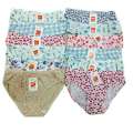 A&C 6PCS #03-B PANTY WOMENS COTTON. 