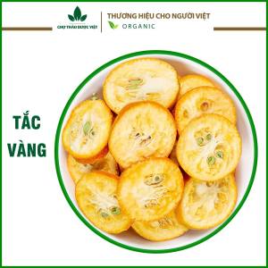 Chanh leo chanh dây cô đặc 100g và tổng hợp 20 loại trái cây
