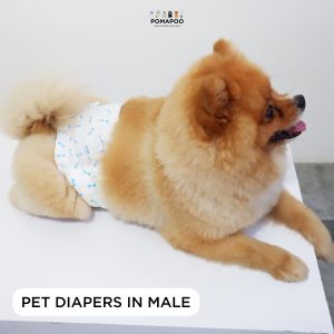 POMAPOO - Popok / Diapers Kucing dan Anjing Jantan dan Betina