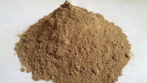 MURAH BUBUK DAUN URANG ARING - FALSE DAISY 1 KG