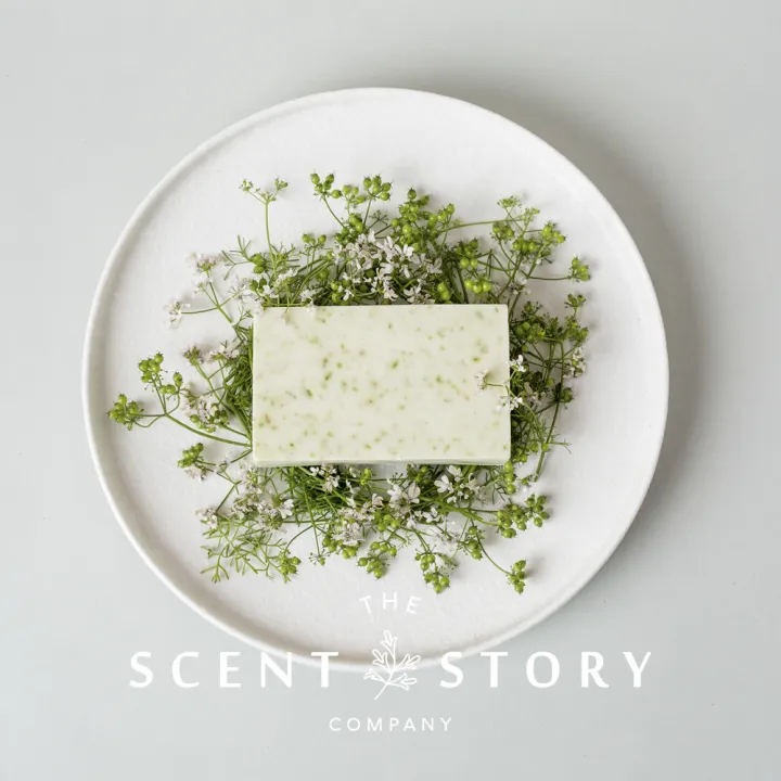 X%C3%A0%20ph%C3%B2ng%20r%E1%BB%ADa%20m%E1%BA%B7t%20handmade%20organic%20The%20Scent%20Story%20Company%20100%25%20Natural%20-%20Image%206