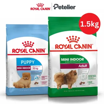 Chow chow royal canin best sale