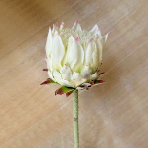 OPEAREY Sống động như thật Hoa nhân tạo Kích thước lớn Nhiều màu sắc Hoa atiso nhân tạo Chất lượng cao Tự làm Hoa Thistle Bắc Âu Trang trí nhà cửa