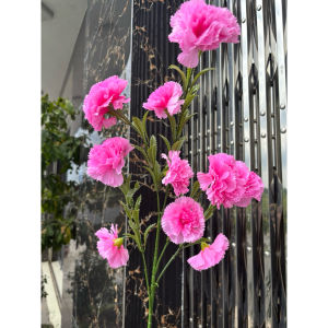 Cành Hoa Cẩm Chướng Phăng Bông To 10 Bông Dài 80cm Hoa 8cm Hoa Lụa Cao Cấp - Hoa Lụa Hạnh Hoan
