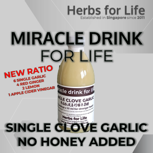 Single Clove Garlic Red Ginger Lemon Apple Cider Vinegar No Honey Added