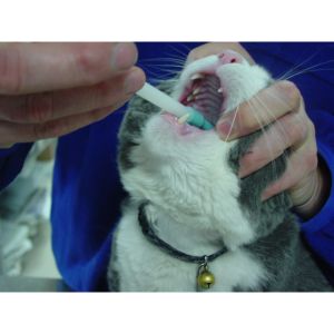 PETLOVER Pet Medicine Feeder Cat Medicine Pigeon Pet Feeding Syringe Picagari Haiwan untuk Kucing Alat bagi Makan Ubat Kucing Selsema Petkit Smart Feeder Dispenser