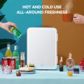 8L Mini Fridge Mirror Cosmetic Refrigerator Car Household Mini Refrigerator Beauty Mask Skin Care Cosmetics Mini Fridge. 