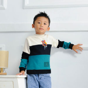PROMO MURAH BELI 1 GRATIS 1 SWEATER HOODIE ANAK BAHAN LEMBUT USAI 1 -6 TAHUN BY DE STORE FASHION