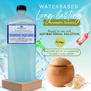 MARINE SQUASH Water Based Scents for Humidifier Air Freshener Linen Spray and Air Revitalizer
