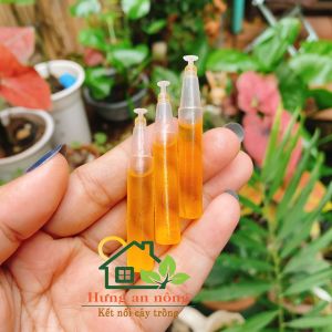 Sét 10 lọ 2ml Chất dẫn dụ ruồi vàng ruồi đục bông đục trái có múi