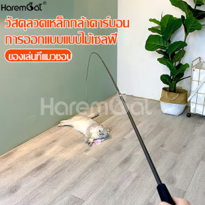 ไม้ตกแมว ไม้ล่อแมว ของเล่นแมว ไม้แมว ไม้แหย่แมว สำหรับสัตว์เลี้ยง ของใช้สัตว์เลี้ยง ของเล่นน้องแมว เบ็ดตกแมว ยืดได้ พร้อมหัวเปลี่ยน