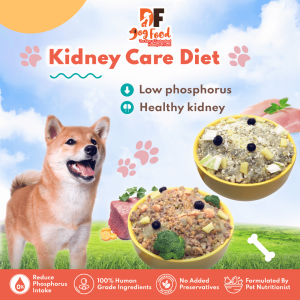 DF Kidney Care Dog Food (Renal Support) Fresh Dog Food Healthy Pet Food (10x Packs)
