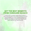 VUNGUARD BLEACH DISINFECTANT 1 GALLON. 