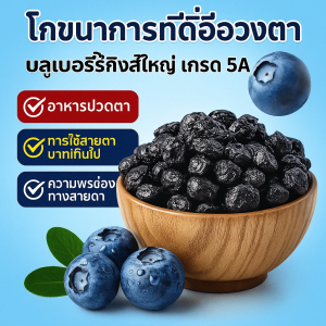 บลูเบอร์รี่อบแห้ง บลูเบอร์รี่แท้ 100％ ไม่มีแกนกลางบลูเบอร์รี่ ไม่มีสารปรุงแต่ง 0 น้ำตาล 0 กิโลแคลอรี ผลไม้แห้งที่ช่วยปกป้องดวงตา อุดมไปด้วยแอนโทไซยานิน