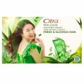 Citra Fresh Glow Multifunction Gel Aloe Aloevera Bright Uv 100 ml Ukuran Kecil Pelembab Wajah Tubuh. 