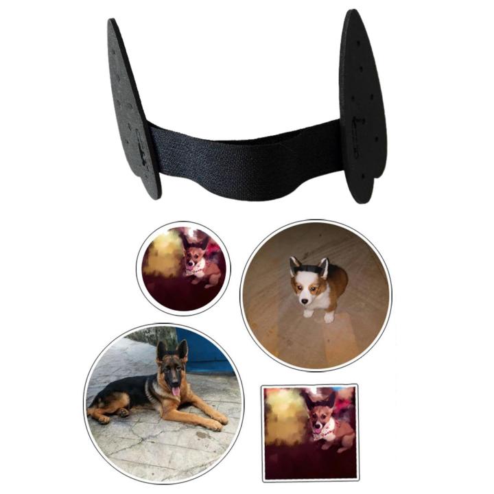 Baoblaze Dog Ear Stand up Support Ear Care Erect Ear Ear Sticker Tools ...