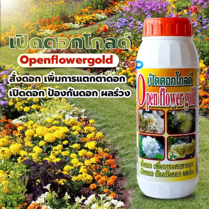 เปิดดอกโกลด์ สาหร่ายทะเล 25% เร่งการขยายผลอ่อน