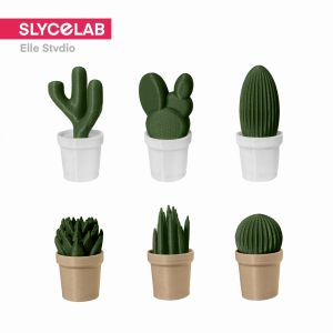 SLYCELAB Cactus Magnet 3D Printed Cute Mini Fridge Magnets Office Notes Organizer