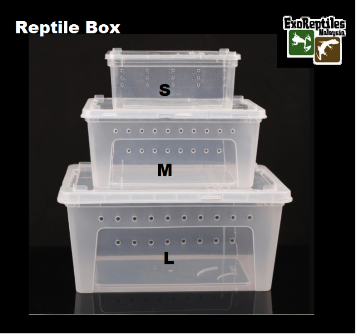 Herp BoxReptile Feeding Box Breeding Hatching Container Lazada
