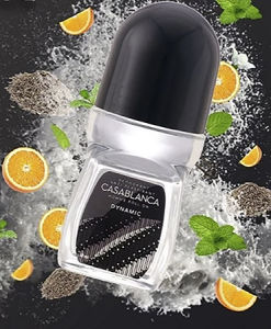 CASABLANCA Deodorant Anti Perspirant Homme Roll On 50ml || Perlindungan Bau Badan HALAL