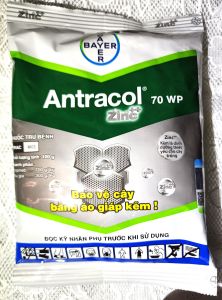 Antracol 70wp - Trừ nấm gây hại cho cây trồng (gói 100g)