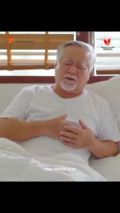 Pinera 57 Fish Oil Original/ Pinus Merah Korea / Solusi Kolesterol/ Stroke/Jantung/ Diabetes/ Hipertensi/ Nyeri Sendi/ Stroke Minyak Ikan Pinera 57 Untuk Kolesterol - Lazada