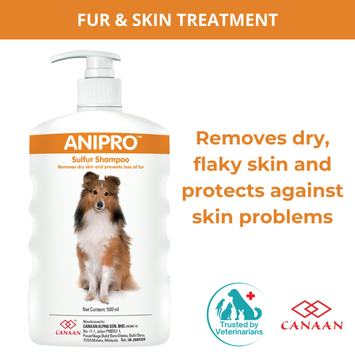 Shampoo for dogs fashion with skin problems