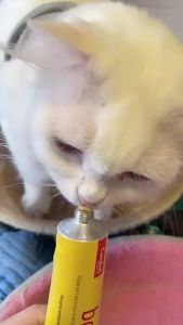 Via Hairball Removal Paste For Adult Cats 50g (Tuna-flavoured)