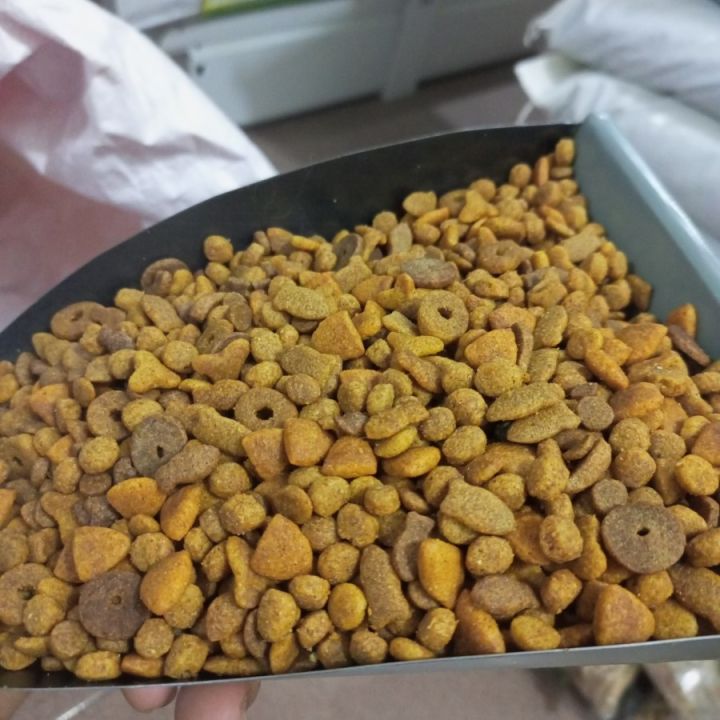 Makanan%20Kucing%20MIX/CAMPURAN%20Repack%20Murah%20Pakan%20Kucing%20CAMPURAN%20-%20Image%203
